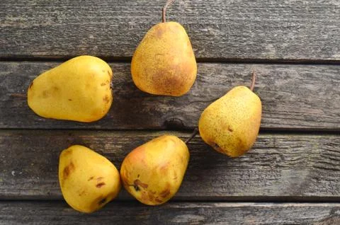 Many pears on a rustic wooden table. Useful fruit. Healthy diet food. Top vie Фото