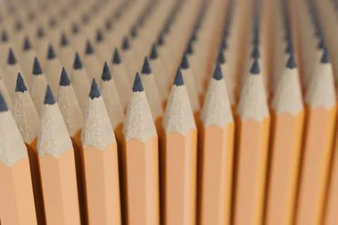 Many pencils in array. Education concept. 3D rendered illustration. Stock Photos