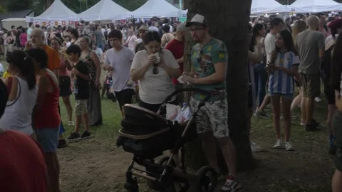 Many people at the celebration Stock Footage 291553489