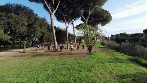 Many people in a park, doing workout and relaxing in sunny afternoon Stock Footage 88285912