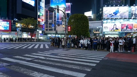 Many people standing at Shibuya, empty road, Tokyo, Japan Stock Footage 97954713