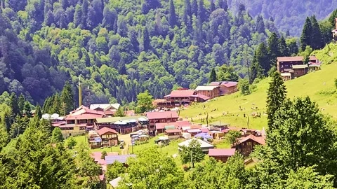 Many people walking on the. Stock-Footage 284624516