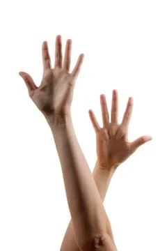 Many people's hands up isolated on white background. Various han Stock Photos