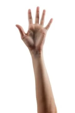 Many people's hands up isolated on white background. Various han Stock Photos