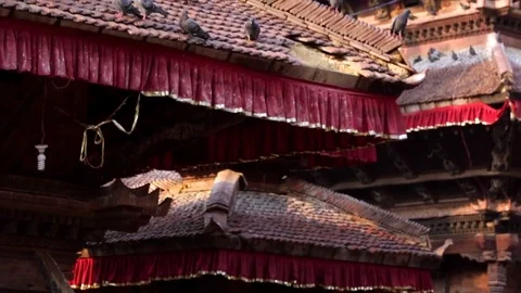 Many pigeons are sitting on the temples roofs at Durbar square. Kathmandu, Nepal Video stock 75628532