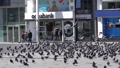 Many pigeons in Taksim square Stock Footage 148467955