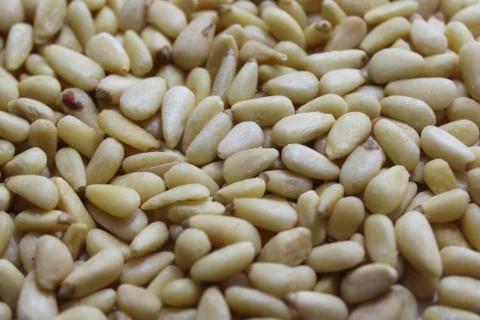 Many pine kernels Foto stock