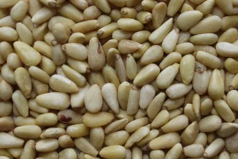 Many pine kernels Foto stock