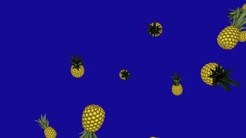 Many Pineapples falling down from the top on blue screen background Video stock 322894317
