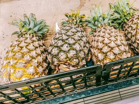 Many pineapples Stock Photos