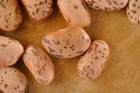 Many pinto bean on background Stock Photos