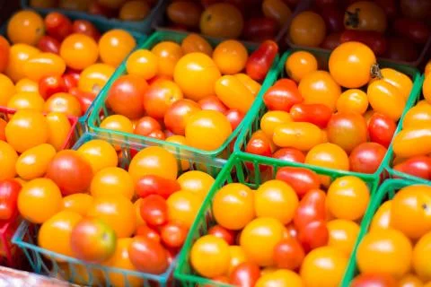 Many pints of cherry tomatoes Stock Photos