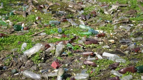 Many plastic bottles lying on green lawn at forest. Trash is dumped in open and Video stock 329680683