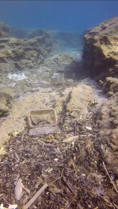 Many of plastic garbage at sea bottom polluting sea bed between cliffs Stock Footage 255110308