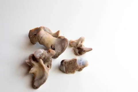 Many pork bones on a white background Stock Photos