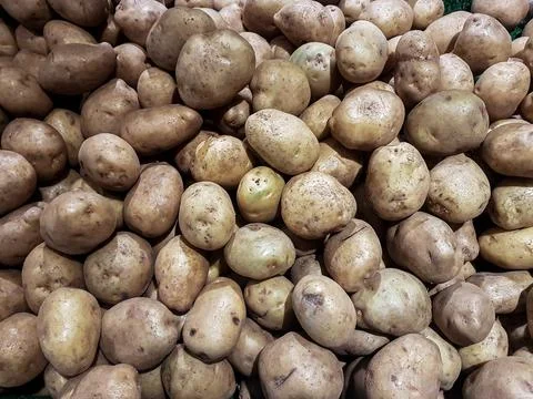 Many potatoes Stock Photos