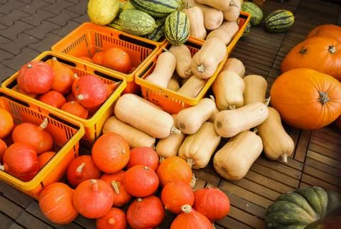 Many pumpkins of different sizes and color lie on a wooden pallet in the store Stock Photos