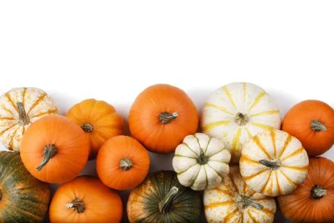 Many Pumpkins on white Stock Photos