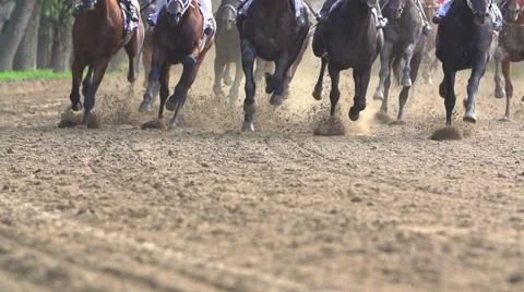 Many of racehorses epic galloping run a closeup of the horse's legs and hooves Stock Footage