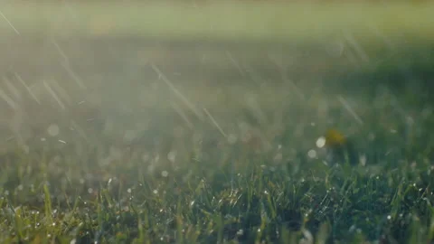 Many rain drops on the grass Stock Footage 279075256
