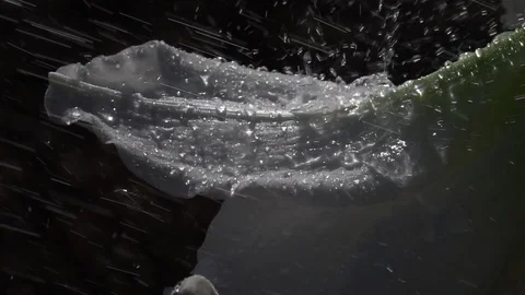 Many rain drops pounding at white amaryllis in slow motion Vídeos de archivo 92589502