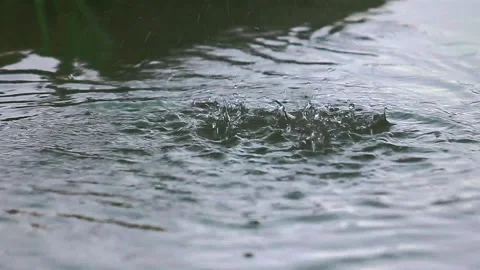 Many raindrops fall into a large puddle Stock Footage 131382748