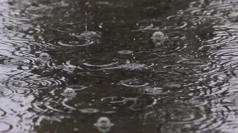 Many raindrops fall on the surface of the water Stock Footage 102484568
