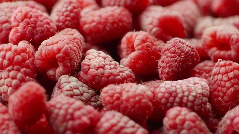 Many raspberry berries rotate, background of berries Stock Footage 77036243
