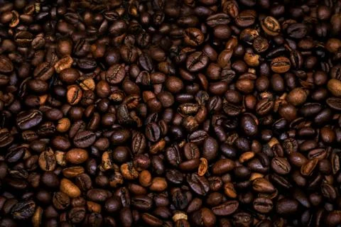 Many raw coffe beans Stock Photos