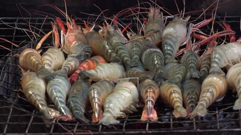 Many raw prawns on the grill before putting the fire Stock Footage 290455959