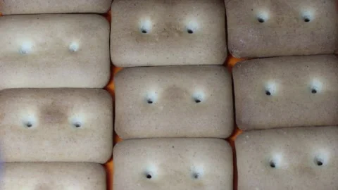 Many rectangular biscuits with small pores in red plate Stock Footage 144885835