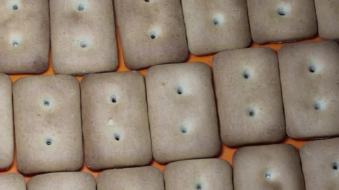 Many rectangular biscuits with small pores in red plate Stock Footage 145843562