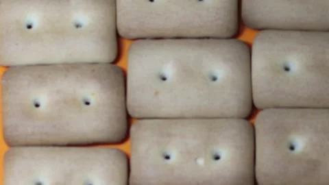 Many rectangular biscuits with small pores in red plate Stock Footage 145862111