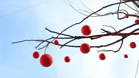 Many red balls hang on a tree overlooking the sky Stock Footage 128209372