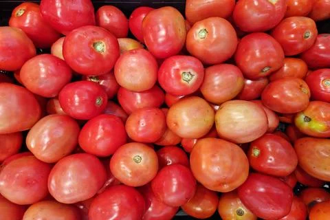 Many red cherry tomatoes Stock Photos