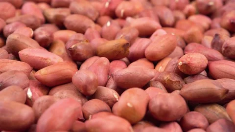 Many of red peanuts in a table Stock Footage 230282817