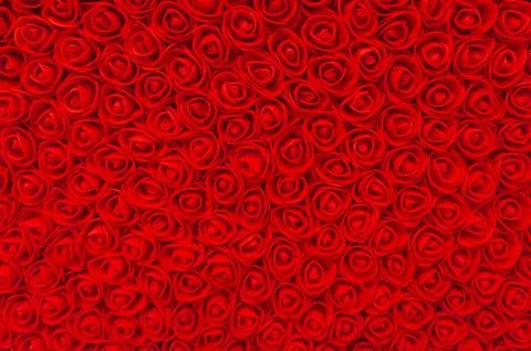 Many red small roses background. texture, pattern, element for design Stock Photos
