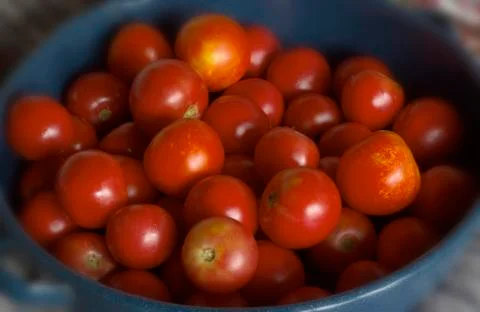 Many red tomatoes Stock Photos