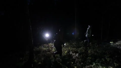 Many rescuers with flashlights are looking for a missing person at night Stock Footage 166665987