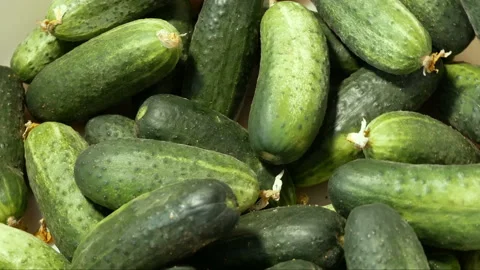 Many resh organic cucumbers background, rotation Stock Footage 149693693