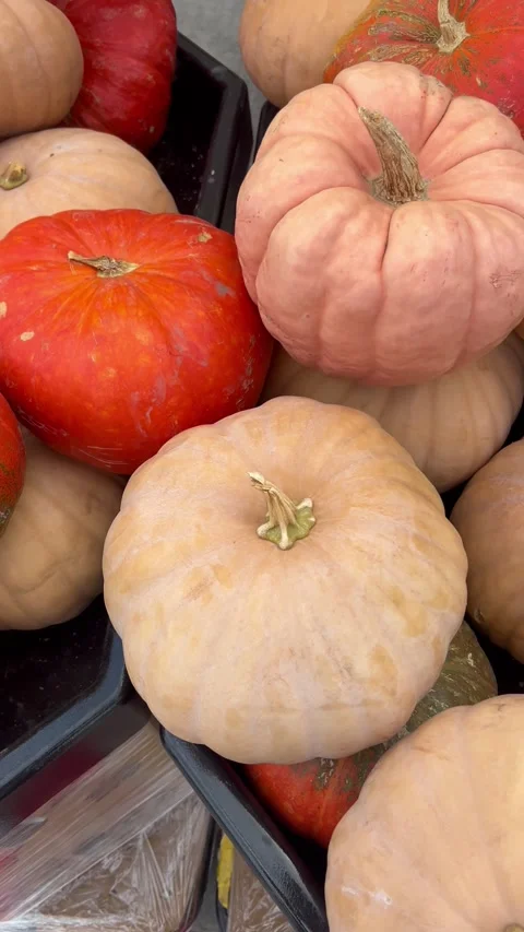 Many ripe large orange and red pumpkins at the autumn market. Stock Footage 337265698
