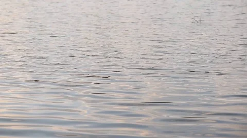 Many ripples in the water Stock Footage 128816702