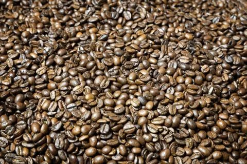 Many roasted coffee beans Stock Photos
