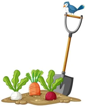 Many root vegetables in soil with shovel in cartoon style isolated Stock Illustration