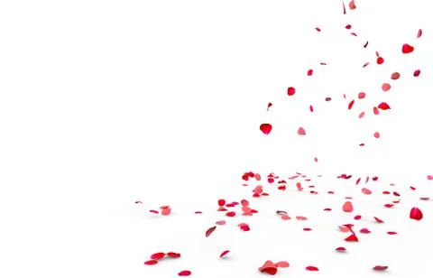Many rose petals fall on the floor Stock Illustration