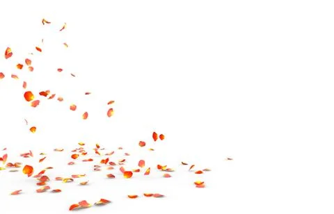 Many rose petals fall on the floor Stock Illustration