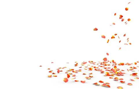 Many rose petals fall on the floor Stock Illustration