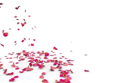 Many rose petals fall on the floor Stock Illustration