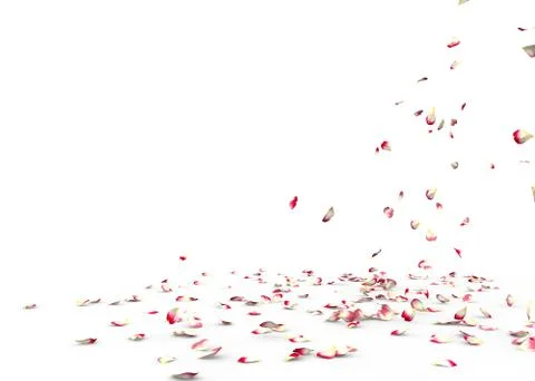 Many rose petals fall on the floor Stock Illustration