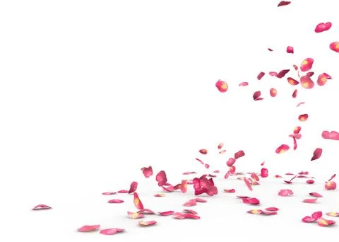 Many rose petals fall on the floor Stock Illustration